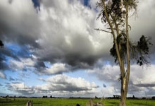 河南男篮遭受惨痛失利，大势已去，仍安抚球迷