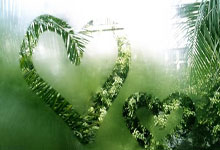 霍芬海姆主场大捷，取得关键比赛胜利