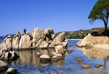 亚特兰大轻取对手，继续保持连胜势头