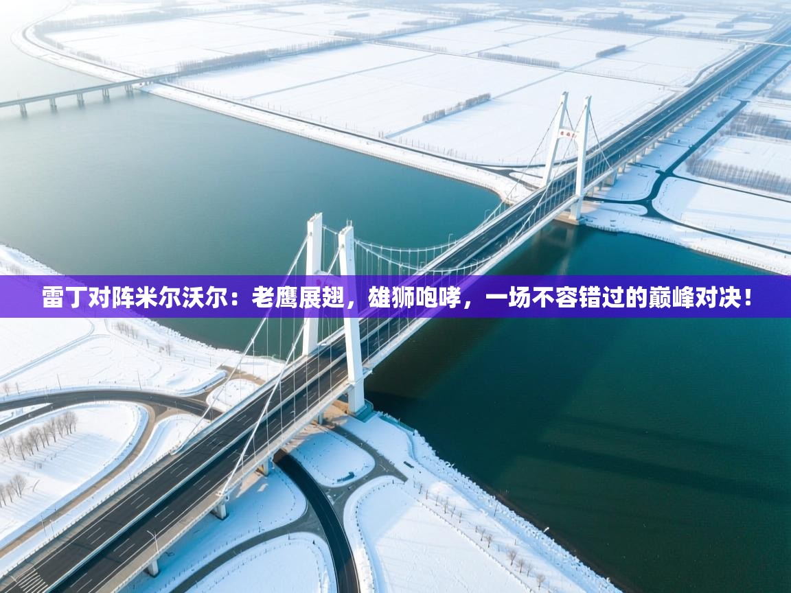 雷丁对阵米尔沃尔:老鹰展翅,雄狮咆哮,一场不容错过的巅峰对决! 第1张