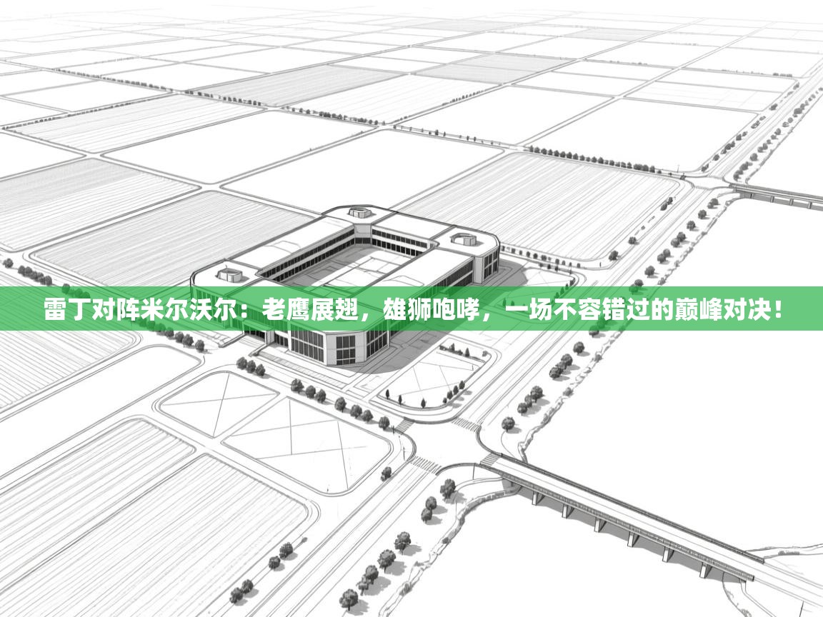 雷丁对阵米尔沃尔:老鹰展翅,雄狮咆哮,一场不容错过的巅峰对决! 第2张